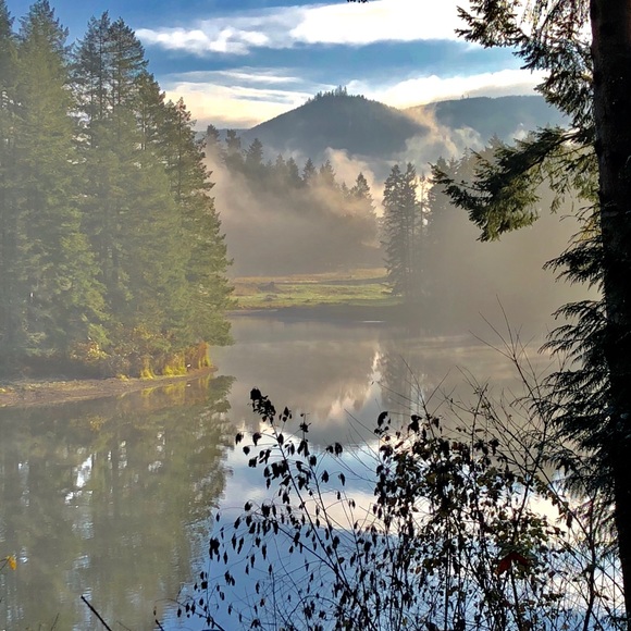 Meet your Posher, Richelle - Picture 2 of 3